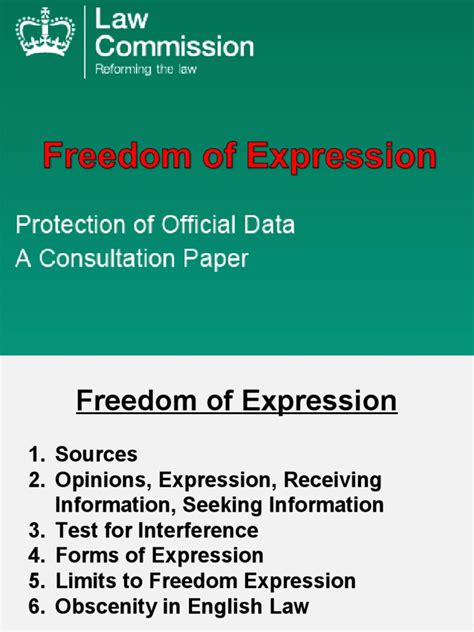 1 Freedom of Expression Literature and Law Final | Download Free PDF | Freedom Of Speech ...