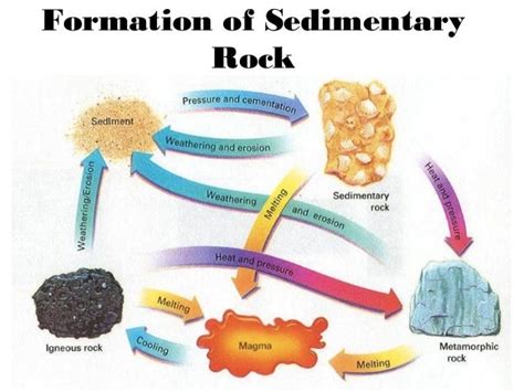 Sedimentary Rock Forming Process