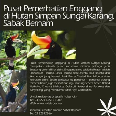 Sungai Panjang Hornbill Conservation Center - Tourism Selangor