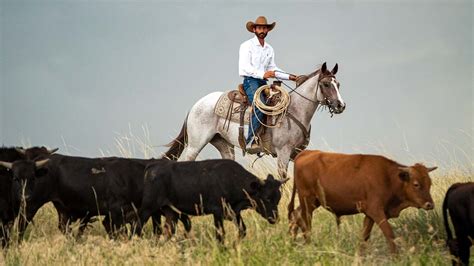 Simply Cowboy - Western Horseman