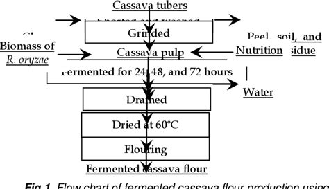 Figure 1 from Effect Of Rhizopus Oryzae Fermentation On Characteristics ...