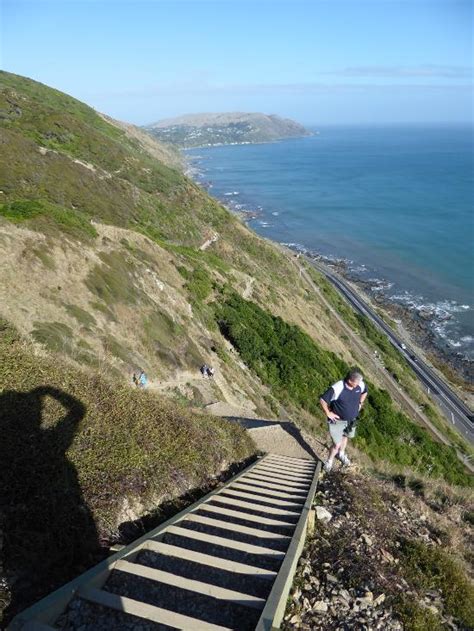 THE 10 BEST Greater Wellington Hiking Trails (with Photos) - Tripadvisor