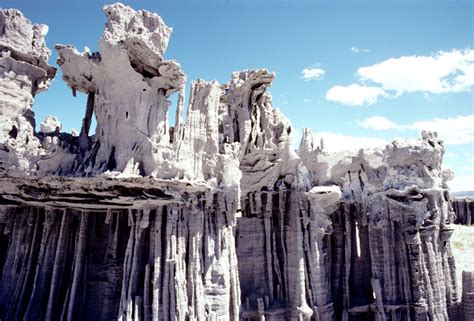 Mono Lake Birds | Home