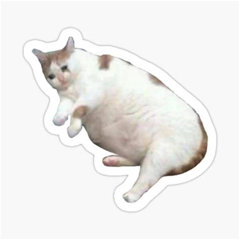 "Cat" Sticker for Sale by MaceEclipse | Redbubble