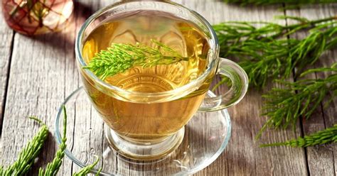 Horsetail Tea: Properties, Uses, and Benefits - It's Never Not Teatime