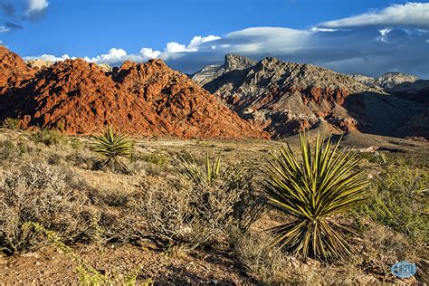 0929 IMG_1795 | VALLEY VIEW Calico Basin @ Red Rock Canyon. | JR Manuel ...