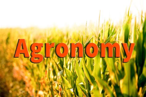 Agronomy: Definition, Meaning, Scope of Agronomy - Paper Tyari