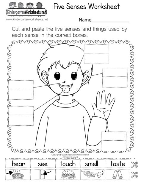 five sense worksheet: NEW 483 FIVE SENSES WORKSHEETS WITH PICTURES