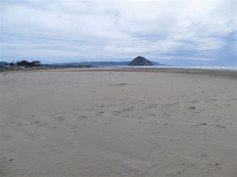 Morro Strand State Beach in Morro Bay, CA - California Beaches