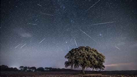 Perseid meteor shower lights up skies - BBC News