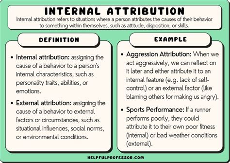 Internal Attribution: 10 Examples and Definition (2024)