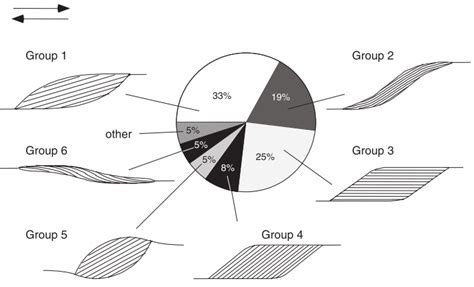 Schematic drawings of the different morphological types of mica fish ...