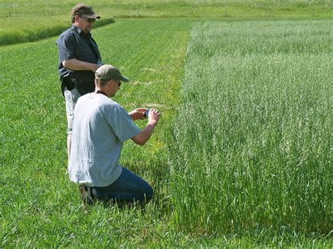 Agronomy | NDSU Agriculture and Extension