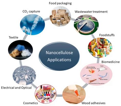 Cellulose Nanocrystals at ₹ 600/kg | Alpha Cellulose Powder in Chennai ...