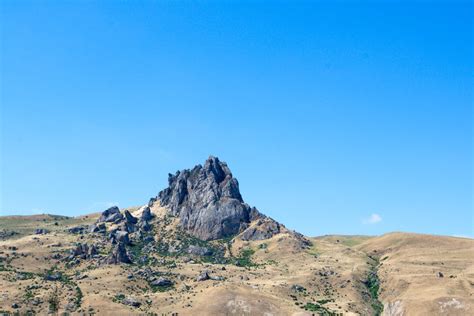 Nature of Azerbaijan - climate, flora and fauna of the region