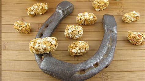 DIY Horse Treats: Easy, Nutritious, And Horse-Approved