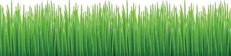 Grass Green Grass, Grass, Green, Tuft PNG Transparent Image and Clipart ...