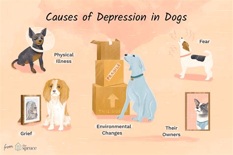 Do Dogs Get Depression? How to Help Your Sad Dog