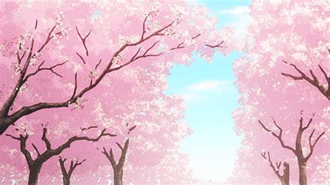 Sakura Tree | Anime Amino