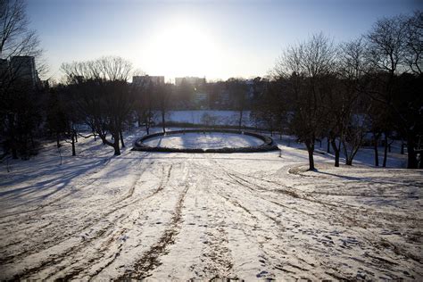 Winter in Toronto's Parks Photo Essay