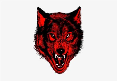 nwo wolfpac logo 10 free Cliparts | Download images on Clipground 2024