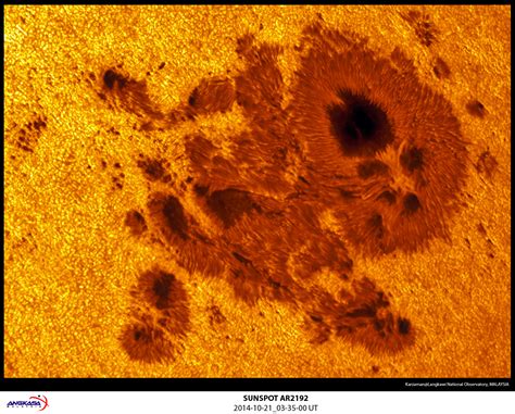 AR12192: The Largest Sunspot Group of Solar Cycle 24 - The Sun Today with C. Alex Young, Ph.D.