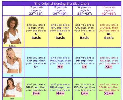 Different Breast Size Chart