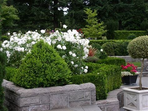 24 Beautiful Boxwood Garden Ideas | Boxwood garden, Boxwood landscaping, Pretty gardens