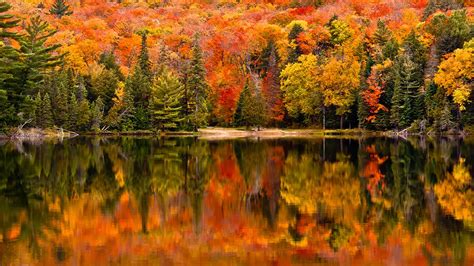 Where to see Fall Colours in Ontario (2023) | Viaggio