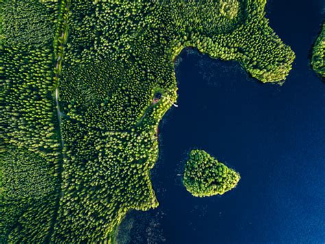 Aerial view of Lake Geneva from Les Avants – free photo on Barnimages