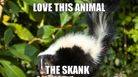 Love This Animal - The Skank | Love This Animal | Know Your Meme