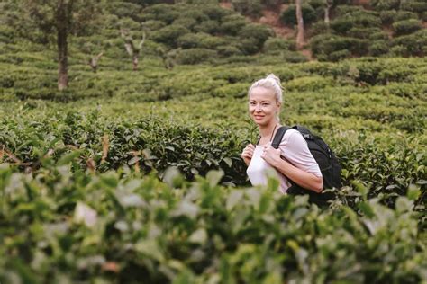 Tea Plantations in Sri Lanka | Tea History, Tea Regions & Tea Tours ...