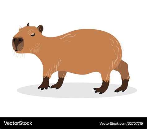 Capybara on a white background animals south Vector Image