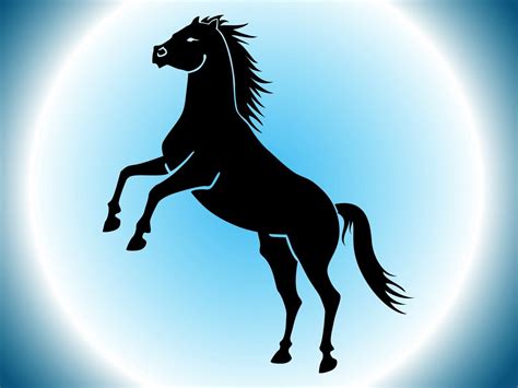 Wild Horse Vector Art & Graphics | freevector.com