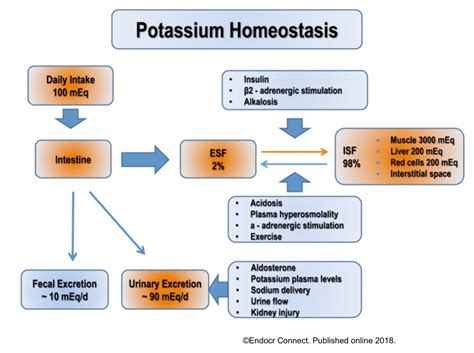 6 Potassium Deficiency Symptoms - Signs of Hypokalemia, potassium ...