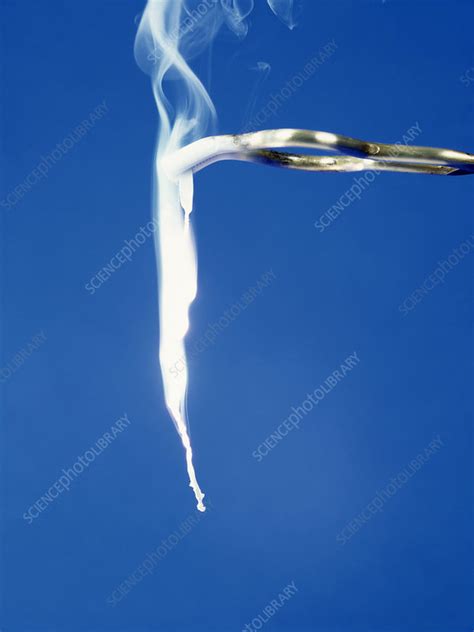 Magnesium ribbon burning - Stock Image - A510/0216 - Science Photo Library