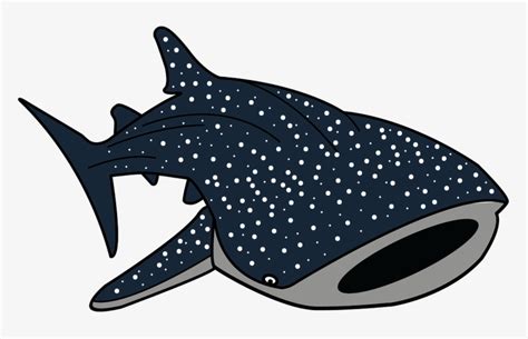 Nemo Clipart Whale Shark - Whale Shark Cartoon Png Transparent PNG ...