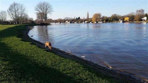 Dog walk at Cookham · Berkshire · Walkiees