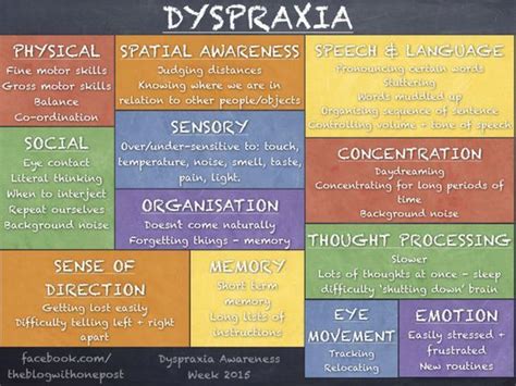 Dyspraxia - a summary of how it affects people | Dyspraxia, Dyspraxia ...