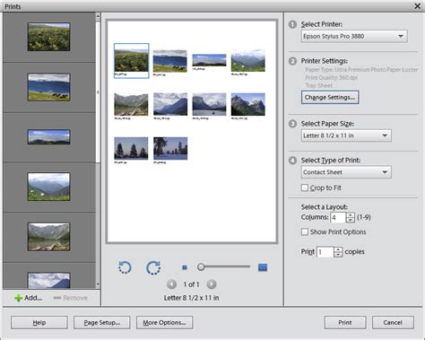 Creating a Contact Sheet in Photoshop Elements