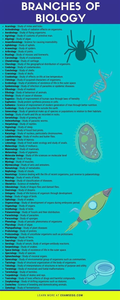 List of Branches of Science and Definition - Classification of Science | Biology facts, Learn ...