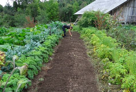 How to Plan a Prolific Family Food Garden (for 2, 4, or More) - Garden and Happy