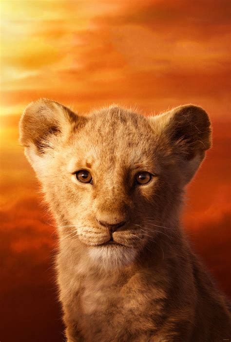 The Lion King (2019) | young SIMBA textless by mintmovi3 on DeviantArt