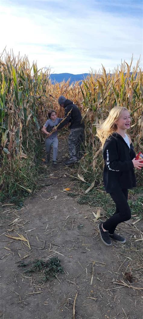 Funky Frugal Mommy: The Biggest Corn Maze In Kelowna!