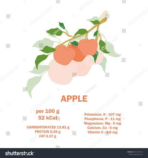 Information About Nutrition Facts Apple Fruit Stock Vector (Royalty Free) 1961394412 | Shutterstock