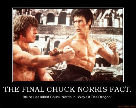 Chuck Norris v.s Bruce Lee (Re-match!) - Battles - Comic Vine