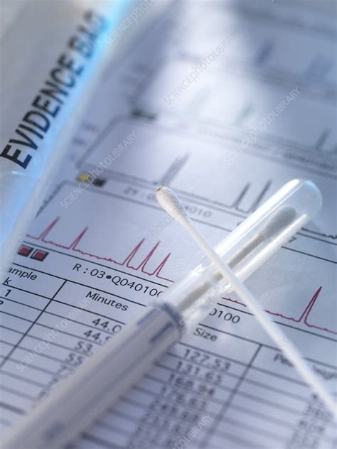 DNA evidence - Stock Image - F026/5336 - Science Photo Library