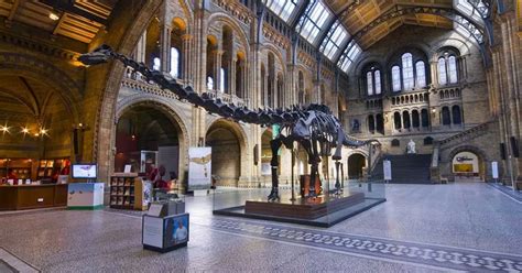 Natural History Museum, London - Hinckley Times