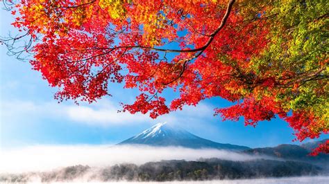 Autumn In Japan - soakploaty