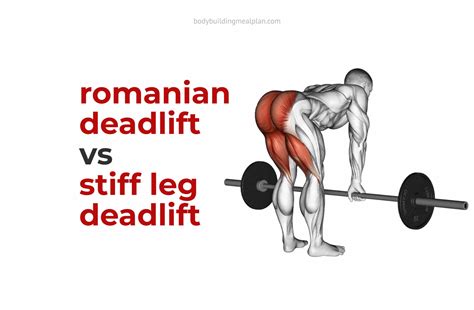 Romanian Deadlift vs Stiff Leg Deadlift: Differences & Muscles Worked